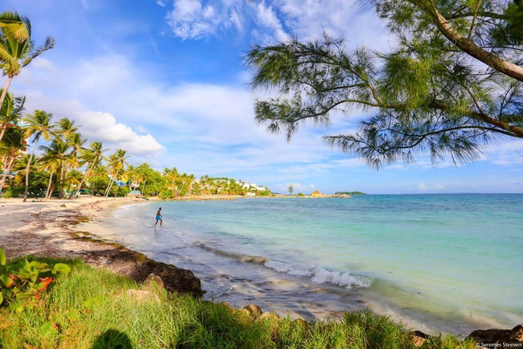 Paradis Studio & Plage A 1 Min Le Gosier  Esterno foto